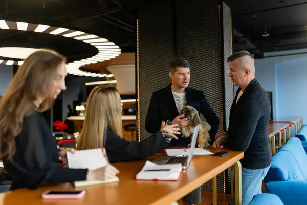 사업가들은 Shih Tzu와 회의실에서 협상합니다 부드러운 동물은 사무실 토론을 — 스톡 사진