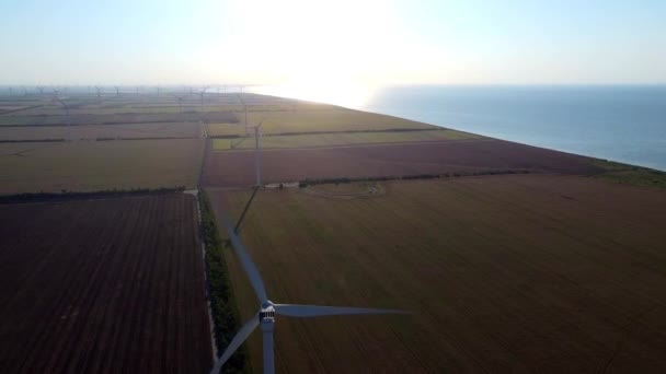 風車は日の出に海の近くのフィールドで緑の電気エネルギーを発生させます 強力な風力発電機は 明るい太陽に対して回転します オルタナティブパワー生産 — ストック動画