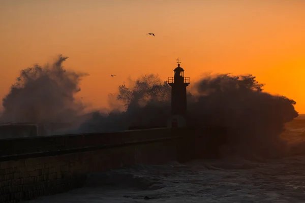 Portekiz Porto Daki Deniz Feneri Manzarası — Stok fotoğraf