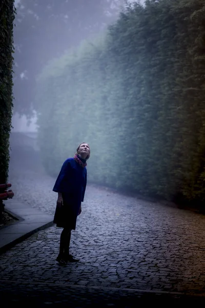 Una Donna Sul Marciapiede Vicolo Antico Parco Una Mistica Nebbia — Foto Stock