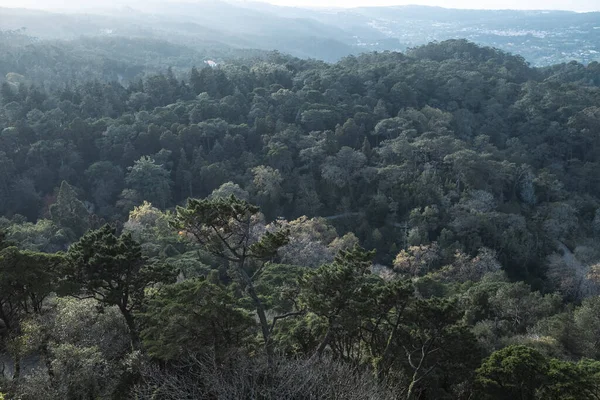 Вид Национальный Парк Синтре Португалия — стоковое фото