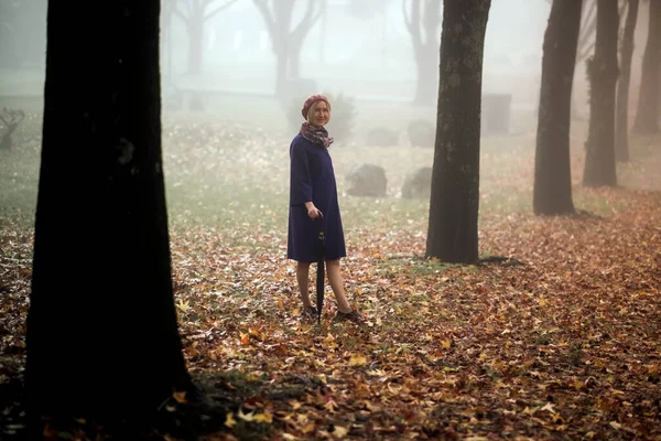 Женщина Зонтиком Стоящая Парке Тумане — стоковое фото