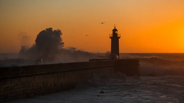 Lighthouse with huge wave at Atlantic during golden sunset, Porto, Portugal.