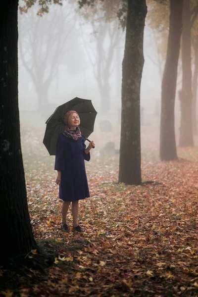 一个拿着雨伞的女人 在多雾的天气里享受着公园 — 图库照片
