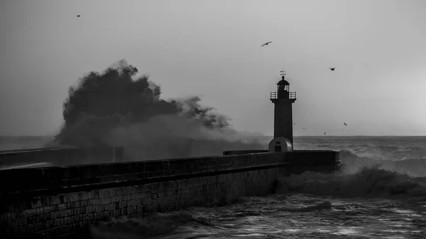 Lighthouse with a huge wave on the Atlantic, Porto, Portugal. Black and white photo.