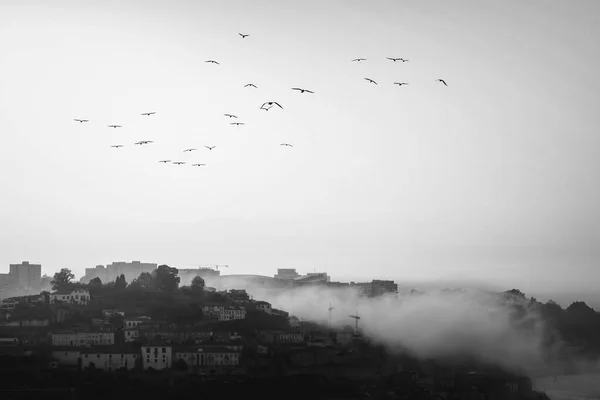 Κέντρο Της Πόλης Στην Ομίχλη Σούρουπο Πόρτο Πορτογαλία Ασπρόμαυρη Φωτογραφία — Φωτογραφία Αρχείου