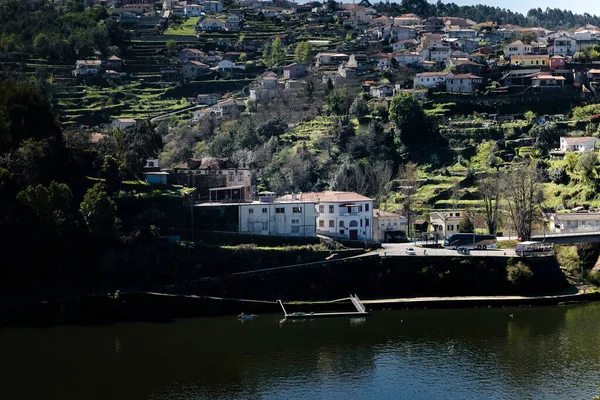 Pohled Vesnici Březích Řeky Douro — Stock fotografie