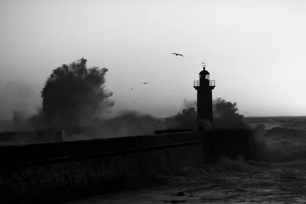 Vista Farol Durante Uma Tempestade Porto Portugal Foto Preto Branco — Fotografia de Stock
