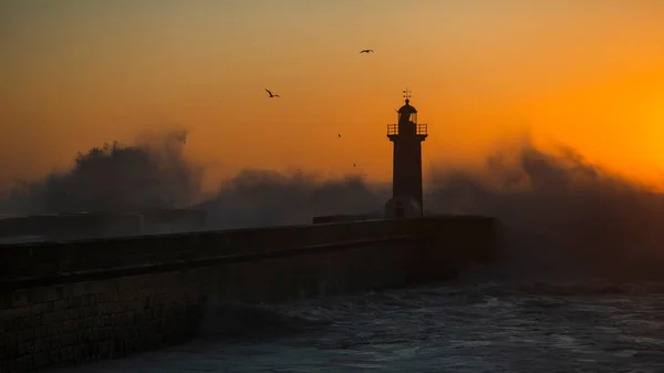 Güzel Bir Günbatımında Felgueiras Deniz Feneri Manzarası Porto Portekiz — Stok fotoğraf