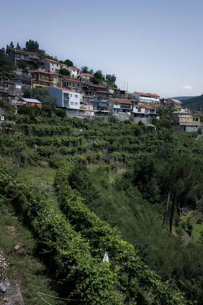 Вид Жилые Дома Горах Северной Португалии — стоковое фото