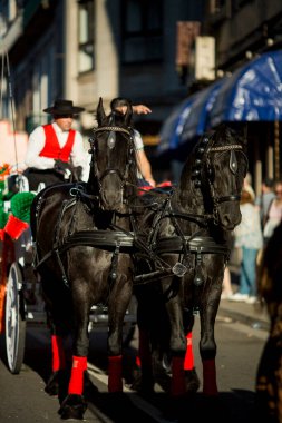 PORTO, PORTUGAL - 1 Temmuz 2023: Saint John festivali haftası kapanış yürüyüşleri, nam-ı diğer Rusgalar şehrin sokaklarına döküldü. Porto 'da altı yüzyıldan uzun süredir şenlikler düzenleniyor..