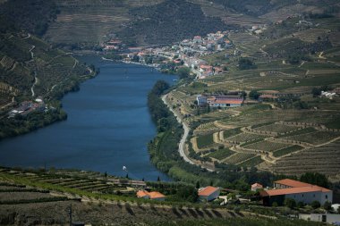 Douro Nehri Vadisi 'nin manzarası köprü ve Portekiz' in Pinhao kasabasının evleri..