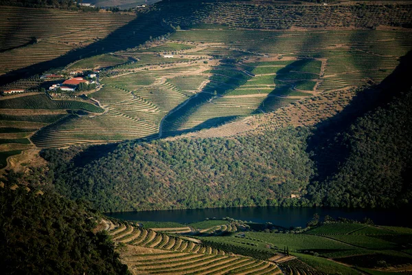 Ландшафт Долины Доуро Португалия — стоковое фото