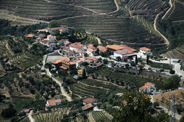 Une Vue Des Maisons Résidentielles Dans Les Collines Vallée Douro — Photo