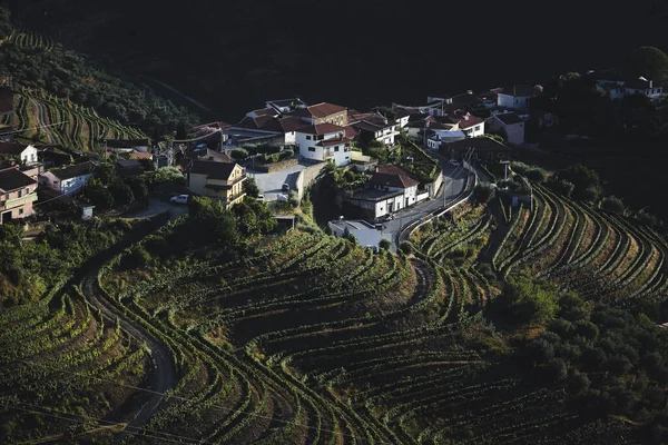 Ein Dorf Den Weinbergen Des Douro Tals Portugal — Stockfoto