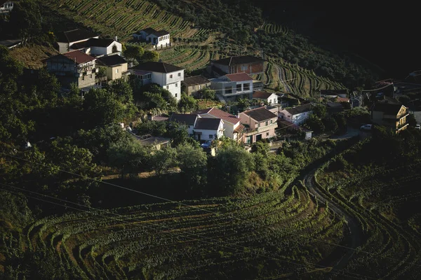 Village Dans Les Collines Couvertes Vigne Vallée Douro Coucher Soleil — Photo