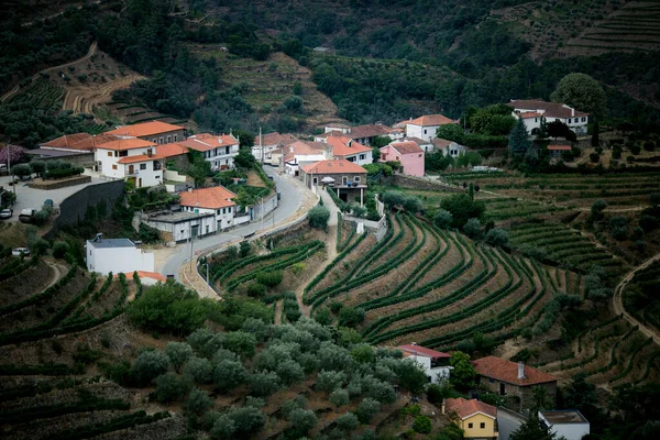 Veduta Del Villaggio Con Vigneti Una Valle Del Douro Portogallo — Foto Stock