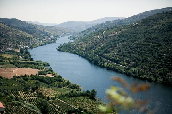 Affacciato Sul Fiume Douro Situato Nella Valle Del Douro Portogallo — Foto Stock