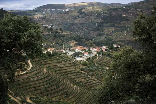 Veduta Piccolo Villaggio Tra Vigneti Della Valle Del Douro Portogallo — Foto Stock