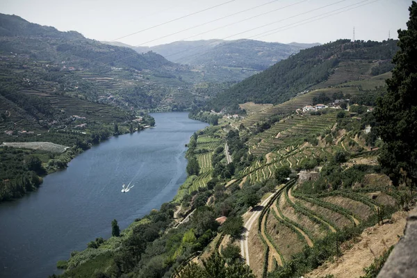 Pohled Řeku Douro Která Nachází Údolí Douro Portugalsko Royalty Free Stock Obrázky