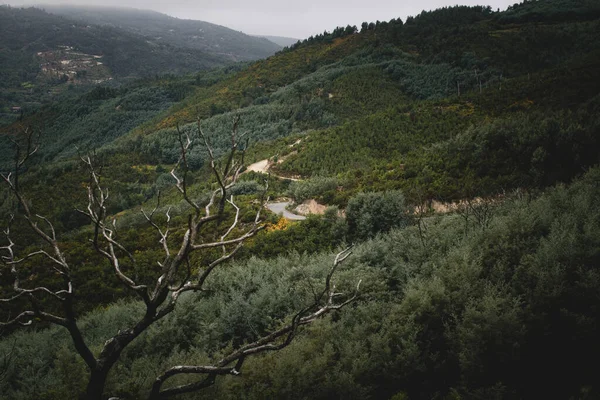 葡萄牙Serra Estrela山麓绿坡上的一条蜿蜒的道路 — 图库照片