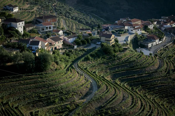 Veduta Del Villaggio Dei Vigneti Della Valle Del Douro Portogallo — Foto Stock