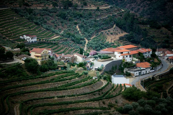 Vinhas Perto Cidade Pinhao Vale Douro Portugal — Fotografia de Stock