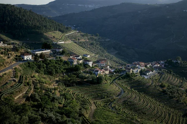 Veduta Piccolo Villaggio Situato Nella Valle Del Douro Portogallo — Foto Stock