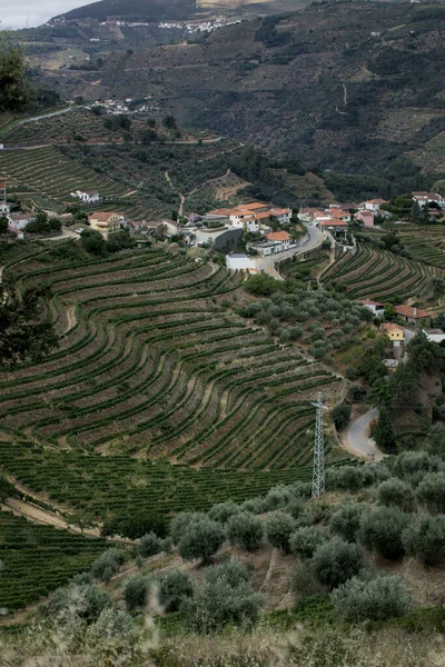 Άποψη Μικρού Χωριού Στην Κοιλάδα Του Douro Πορτογαλία — Φωτογραφία Αρχείου