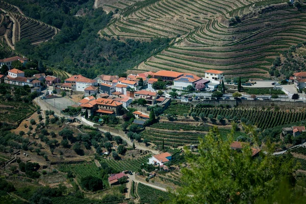 Villaggio Con Vigneti Nella Valle Del Douro Portogallo — Foto Stock