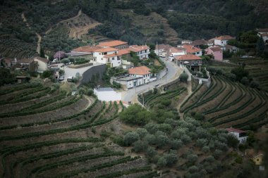 Portekiz 'deki Douro Vadisi' nde bir yerleşim manzarası.