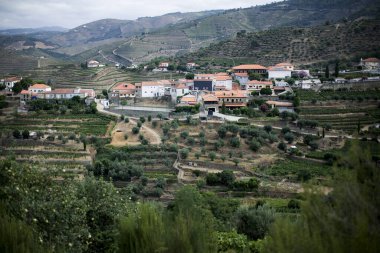 Portekiz 'in Douro Vadisi' ndeki Pinhao banliyösünde bir yerleşim yeri..