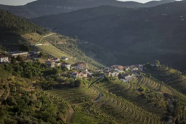 葡萄牙杜洛谷的村庄景观 — 图库照片