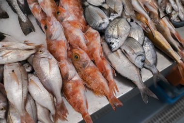 Pazarda çeşitli deniz ürünleri ve okyanus balıkları var.. 