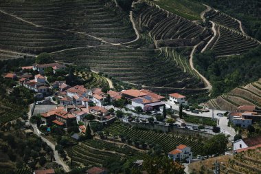 Portekiz, Douro Vadisi 'ndeki köy ve üzüm bağları manzarası.