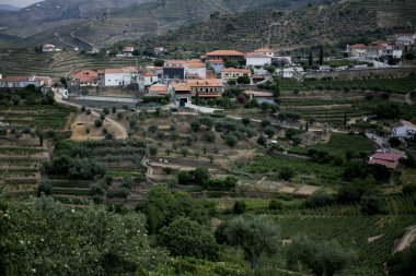 Portekiz, Douro Vadisi 'ndeki üzüm bağları arasında bir yamaçta köy.. 