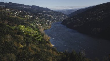 Douro Nehri Panoraması, şarap bölgesi, Portekiz.