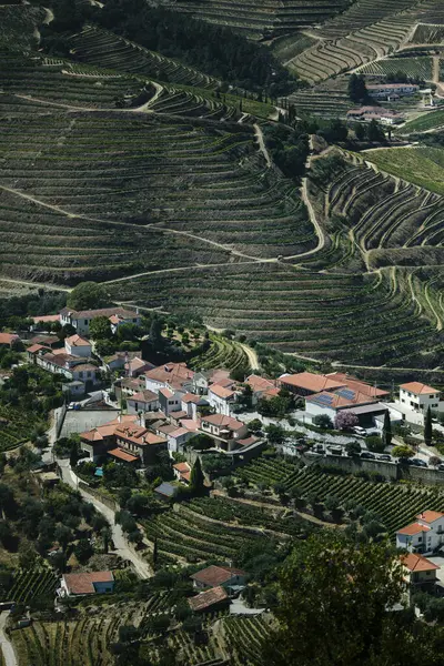 Blick Auf Die Weinberge Des Douro Tals Portugal — Stockfoto