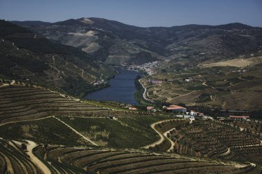 Douro Vadisi, Portekiz köyü üzüm bağlarının arasına kurulmuş..