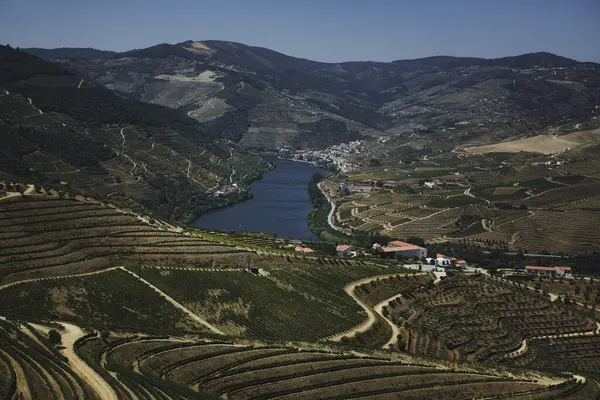 Douro Valley Πορτογαλία Χωριό Φωλιασμένο Ανάμεσα Αμπελώνες — Φωτογραφία Αρχείου