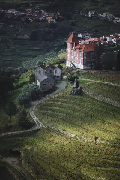 Vinodlingar Vid Floden Dourodalen Norra Portugal Stockbild