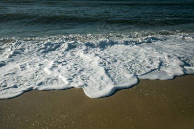 Okyanusun köpüğü Atlantik kıyısında sörf yapıyor.