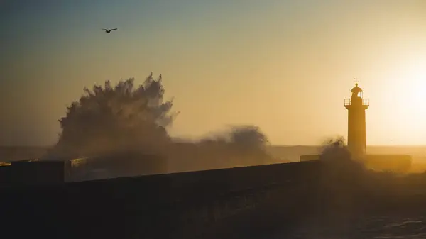 葡萄牙波尔图 大西洋灯塔附近灿烂的落日 图库图片