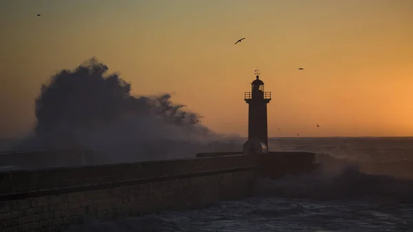 Belo Pôr Sol Perto Farol Atlântico Porto Portugal Fotos De Bancos De Imagens
