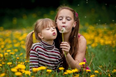 İki küçük kız kardeş karahindibaları uçuruyor..
