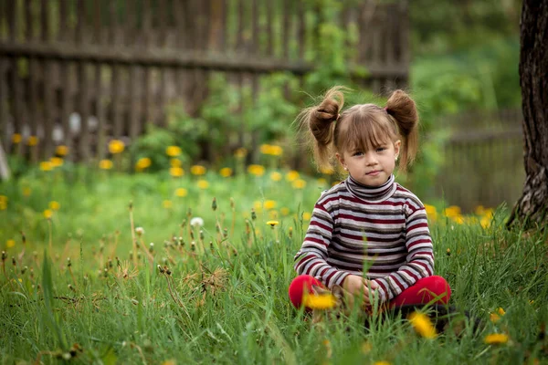 Ένα Χαριτωμένο Κοριτσάκι Κάθεται Ένα Πράσινο Γρασίδι Royalty Free Εικόνες Αρχείου
