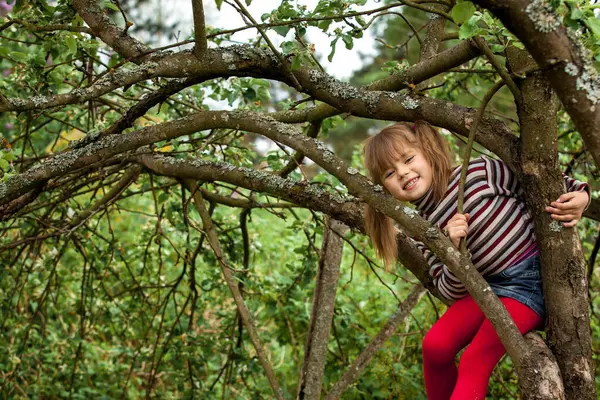 Uma Menina Brincadeira Bonito Pouco Senta Nos Ramos Uma Árvore Imagem De Stock