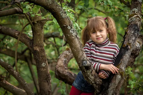 Niedliches Kleines Mädchen Schelmenporträt Den Ästen Eines Baumes Stockfoto
