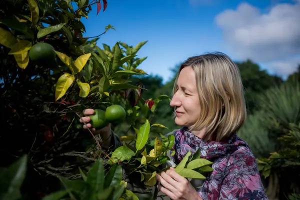 Una Mujer Recoge Fruta Verde Jardín Fotos De Stock