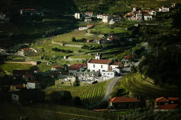 Een Dorp Douro Vallei Het Noorden Van Portugal Stockfoto